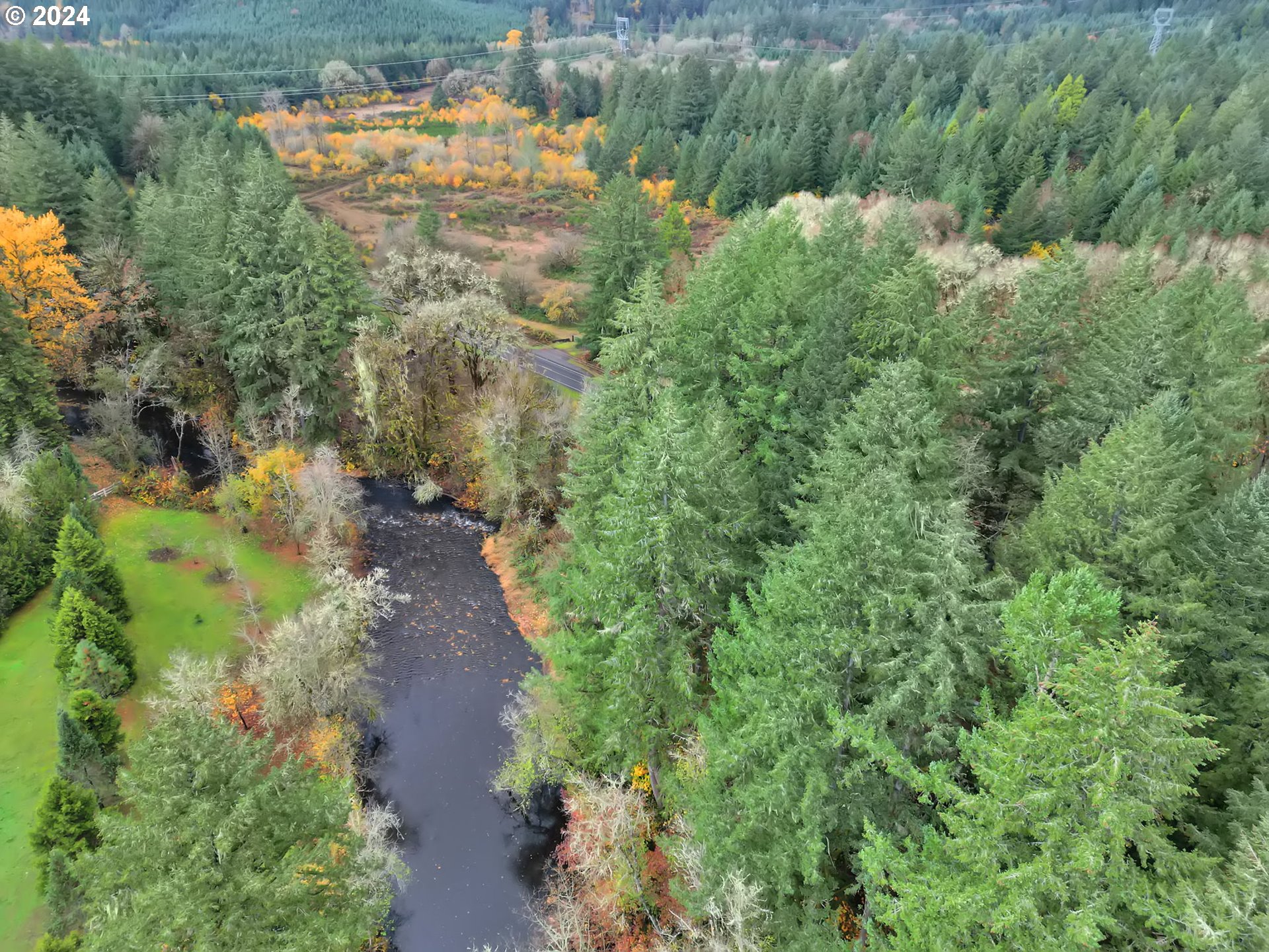 92932 Paschelke Road Marcola, OR 97454 - Photo 10 of 47 Gallery Image 10