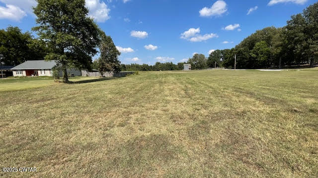 0 Old Dyersburg Road Dyer, TN 38330 - Photo 3 of 8 a view of a garden