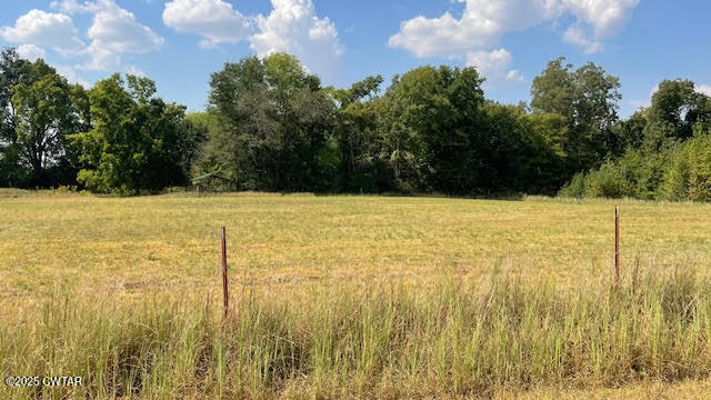 0 Old Dyersburg Road Dyer, TN 38330 - Photo 5 of 8 a view of yard with trees