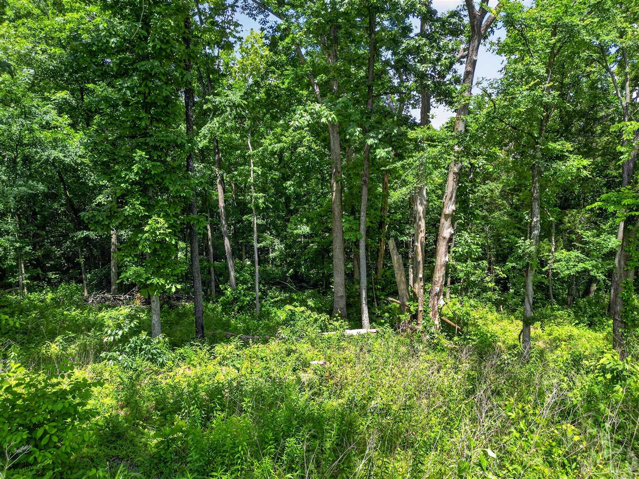 0 Dennis Road Russellville, KY 42276 - Photo 14 of 14 Gallery Image 14