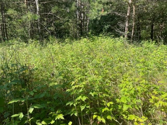 V/l V/l Windy Ridge Beulah, MI 49617 - Photo 9 of 20