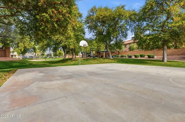 a view of a park with large trees