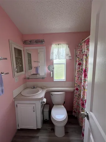 a bathroom with a toilet sink and mirror