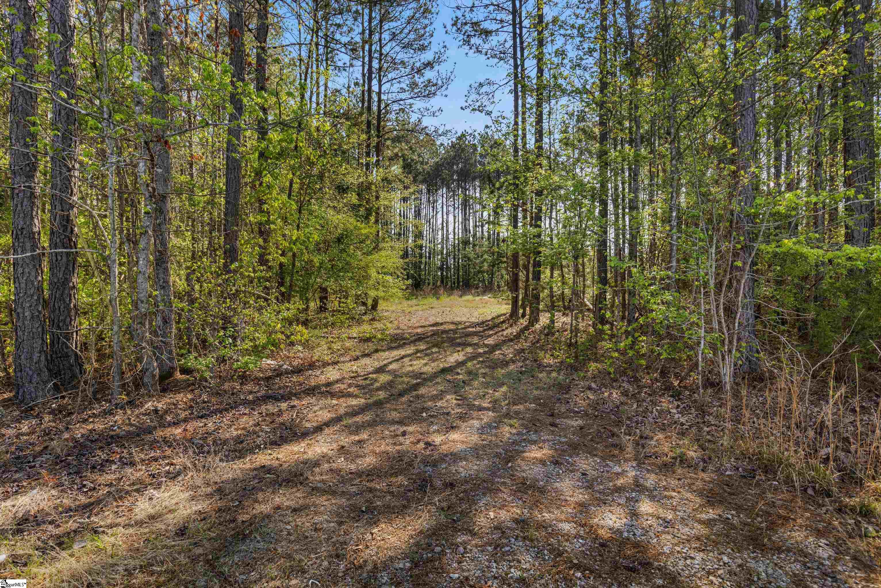 1320 Barnett Road Cross Hill, SC 29332 - Photo 3 of 11 Gallery Image 3