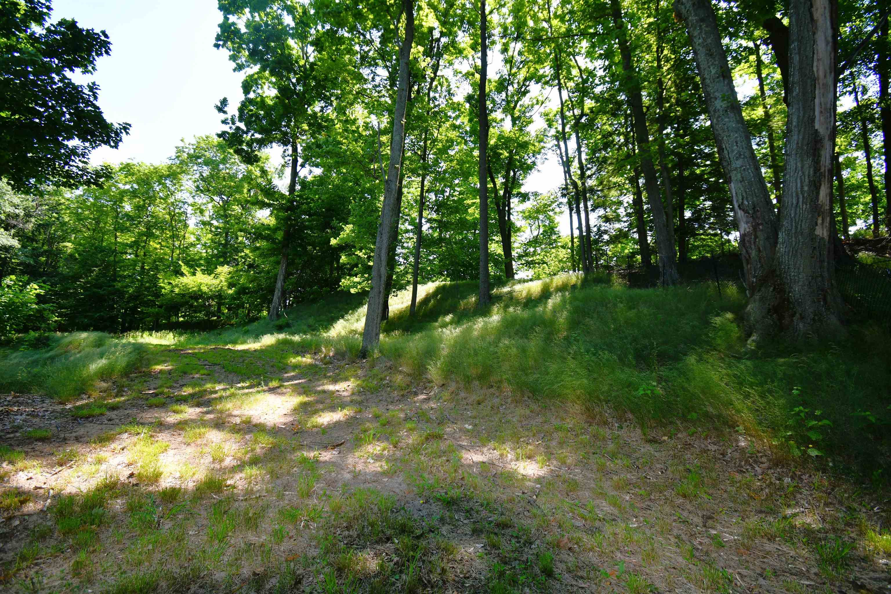 0 Mt McSauba Road Charlevoix, MI 49720 - Photo 32 of 33