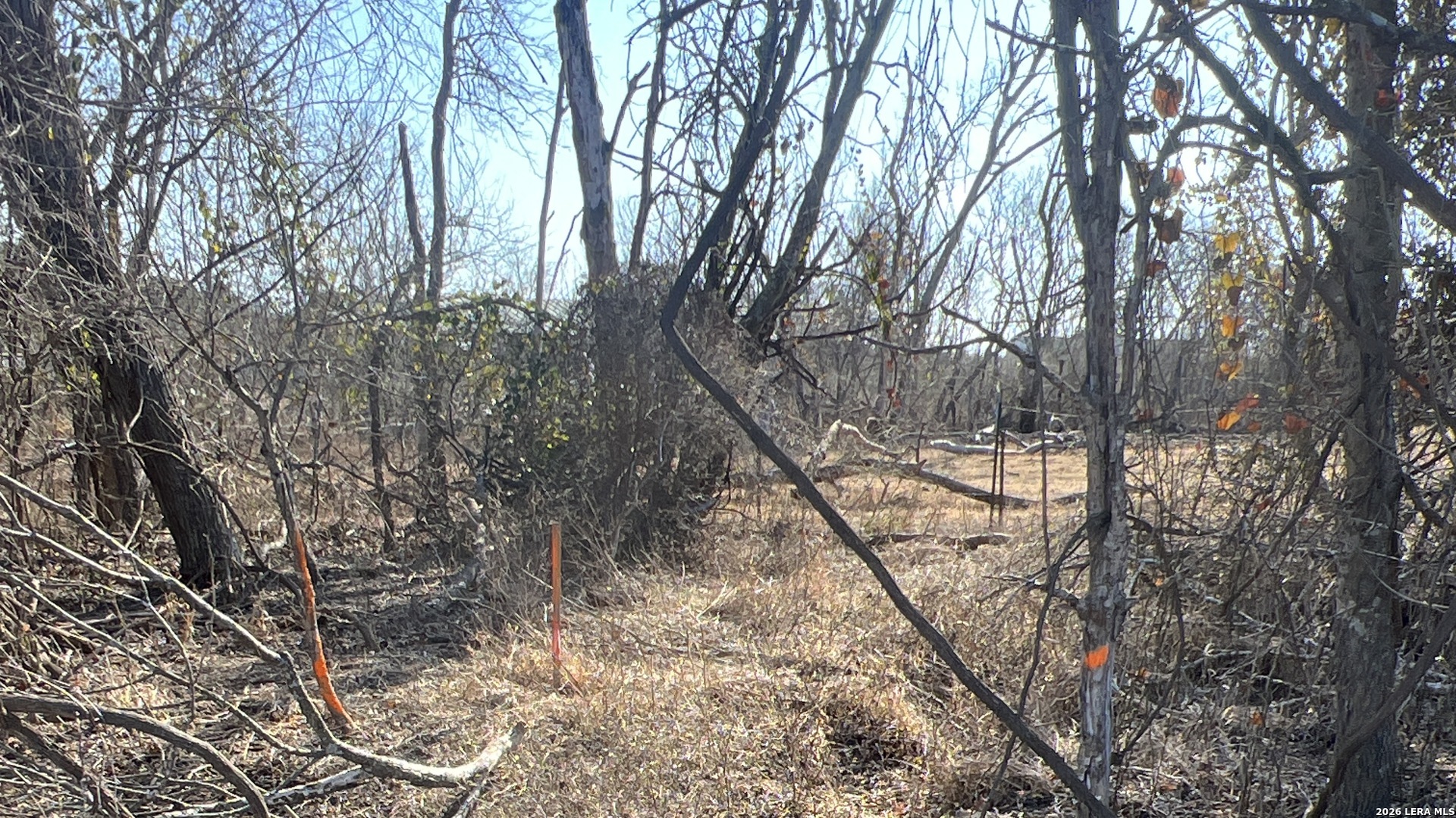 Tbd Ess Road Atascosa, TX 78002 - Photo 2 of 5 a yard with trees in the background