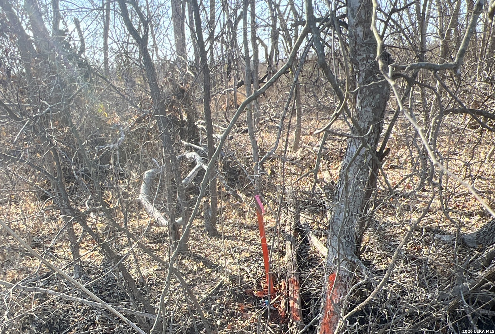 Tbd Ess Road Atascosa, TX 78002 - Photo 4 of 5