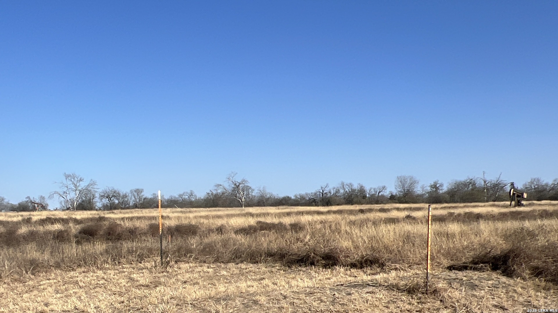 Tbd Ess Road Atascosa, TX 78002 - Photo 5 of 5