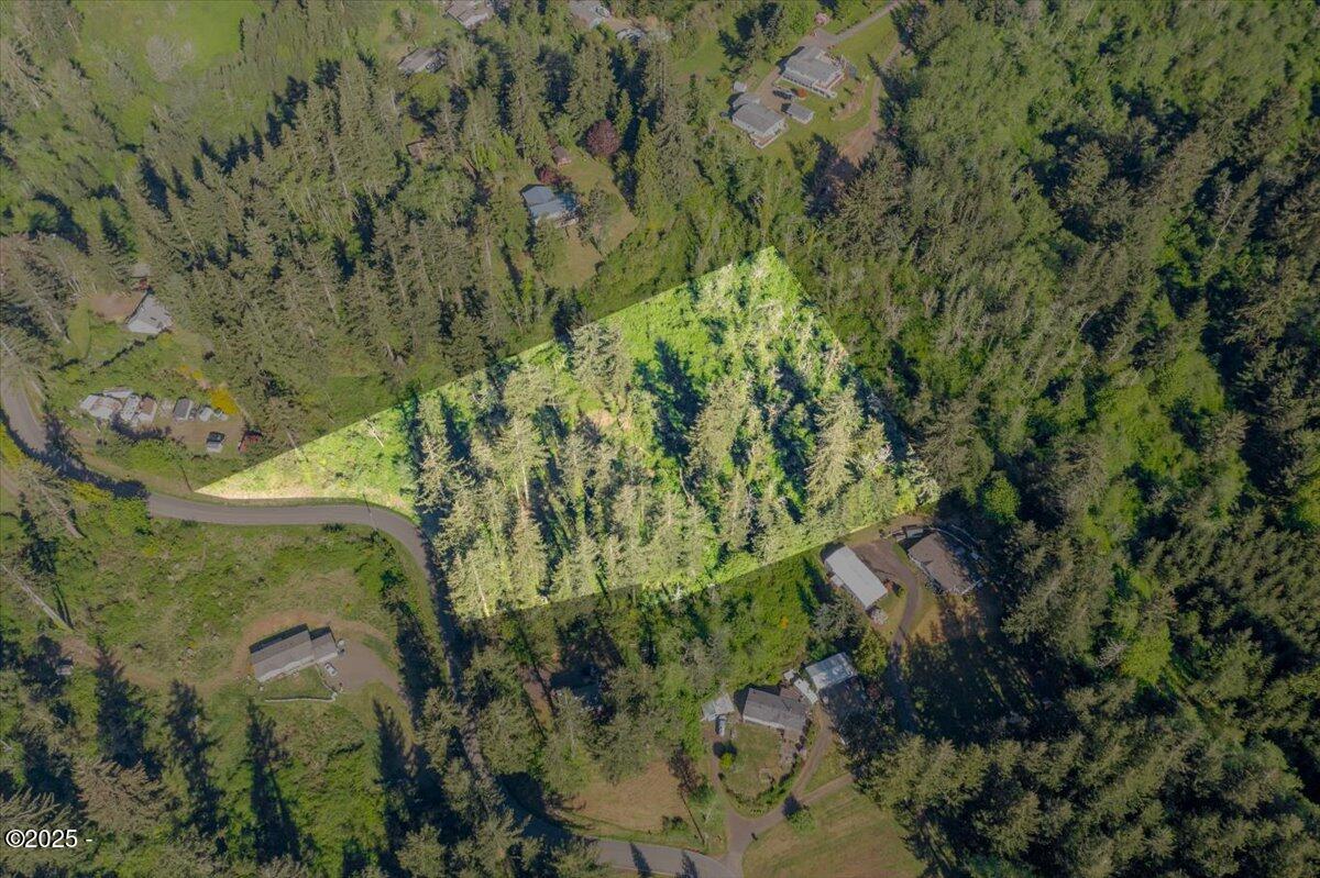 1600 Criteser Loop Toledo, OR 97391 - Photo 5 of 12 05-DJI_0678-Edit