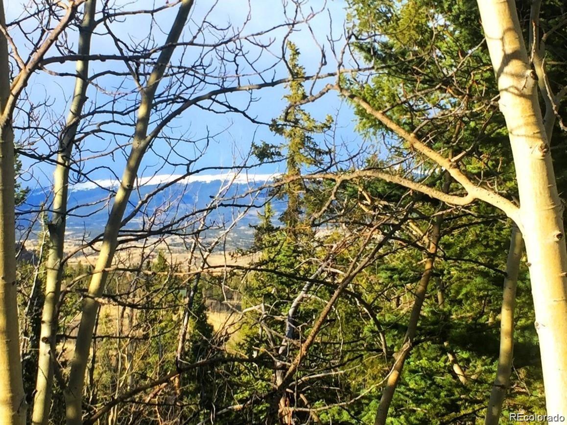 74 Antelope Circle Como, CO 80432 - Photo 2 of 3