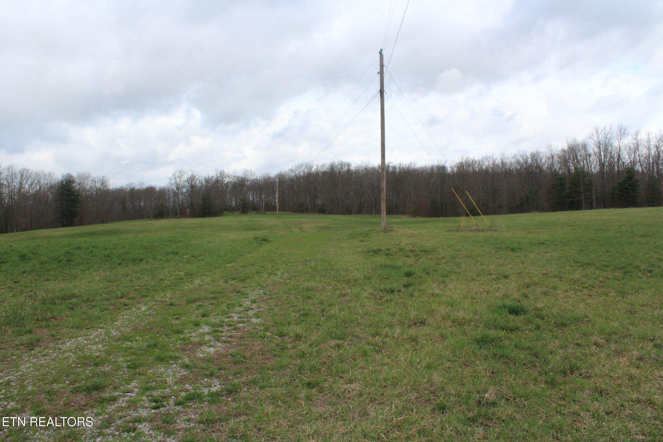 999 Meister Hills Road Deer Lodge, TN 37726 - Photo 1 of 20 IMG_8810