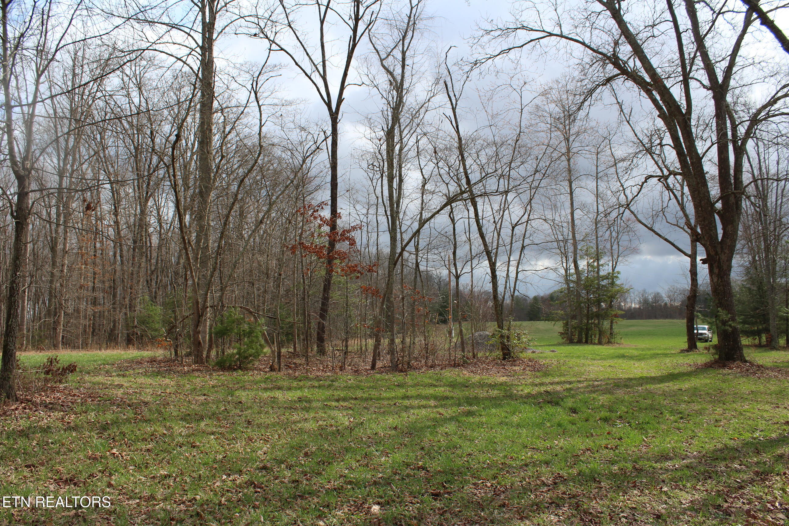 999 Meister Hills Road Deer Lodge, TN 37726 - Photo 14 of 22 IMG_8821