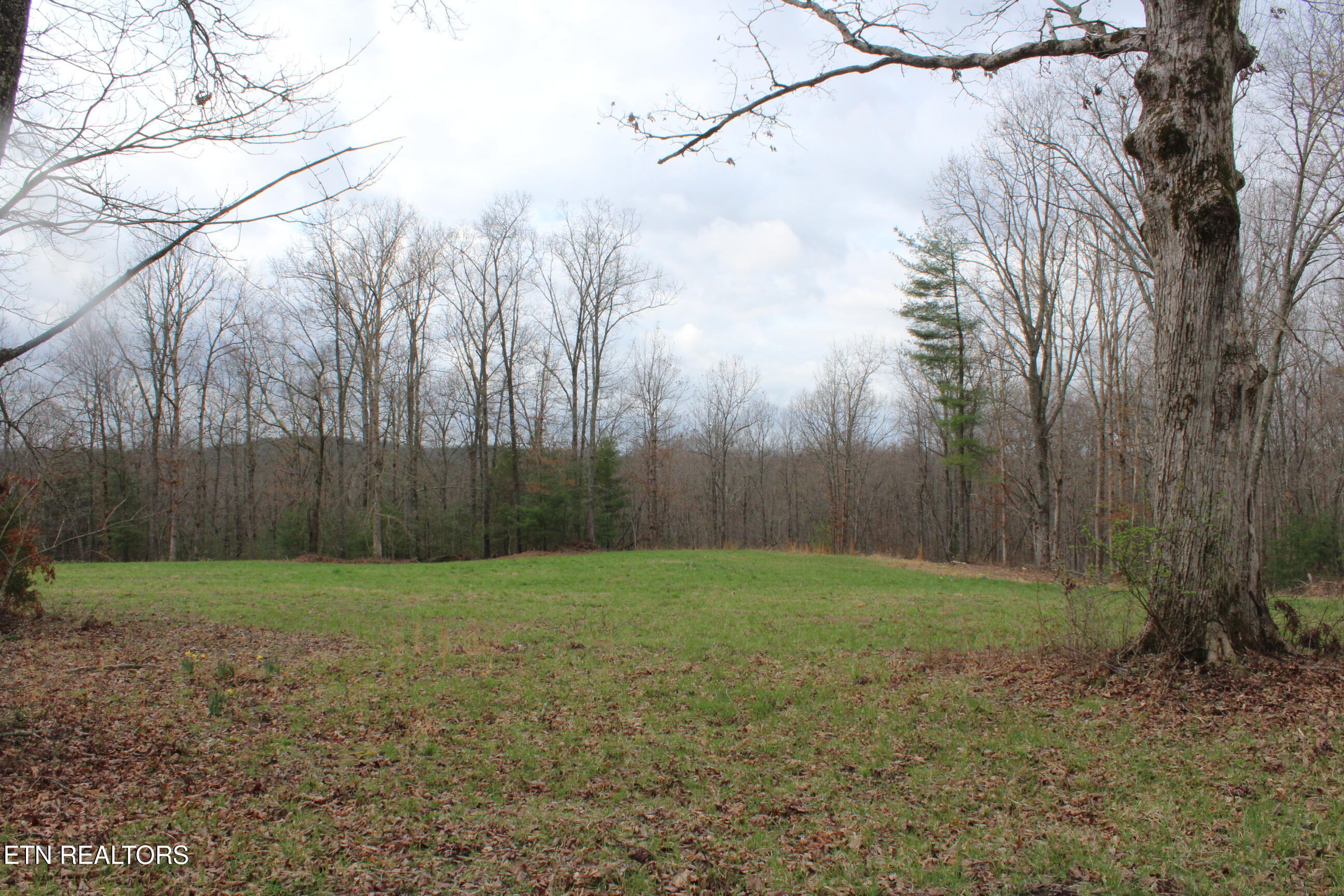 999 Meister Hills Road Deer Lodge, TN 37726 - Photo 14 of 20 IMG_8823