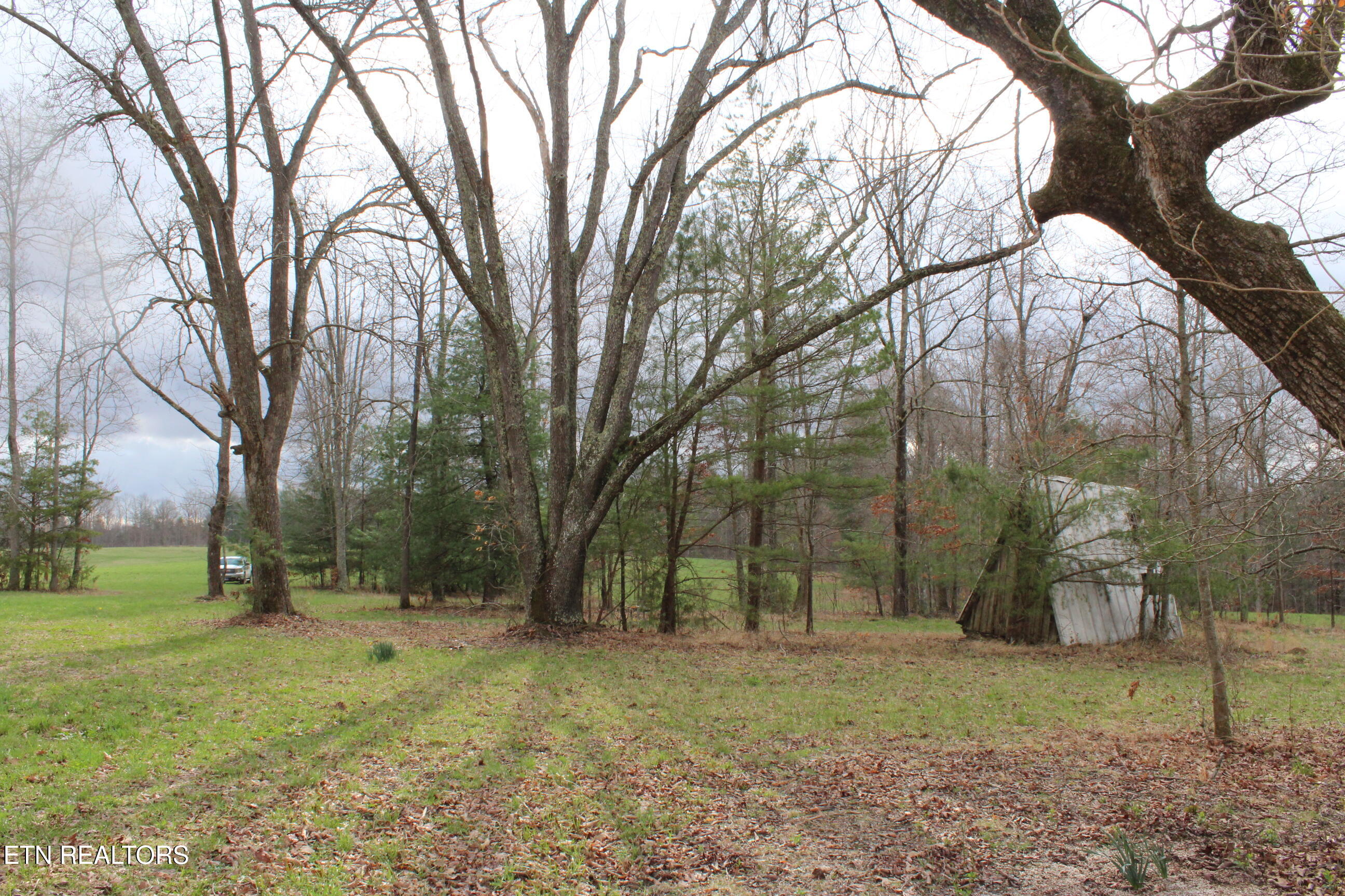 999 Meister Hills Road Deer Lodge, TN 37726 - Photo 15 of 22 IMG_8822
