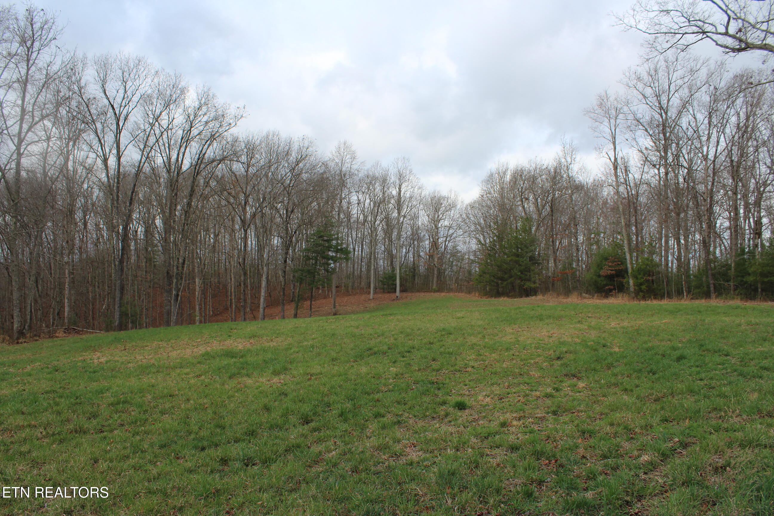 999 Meister Hills Road Deer Lodge, TN 37726 - Photo 15 of 20 IMG_8824