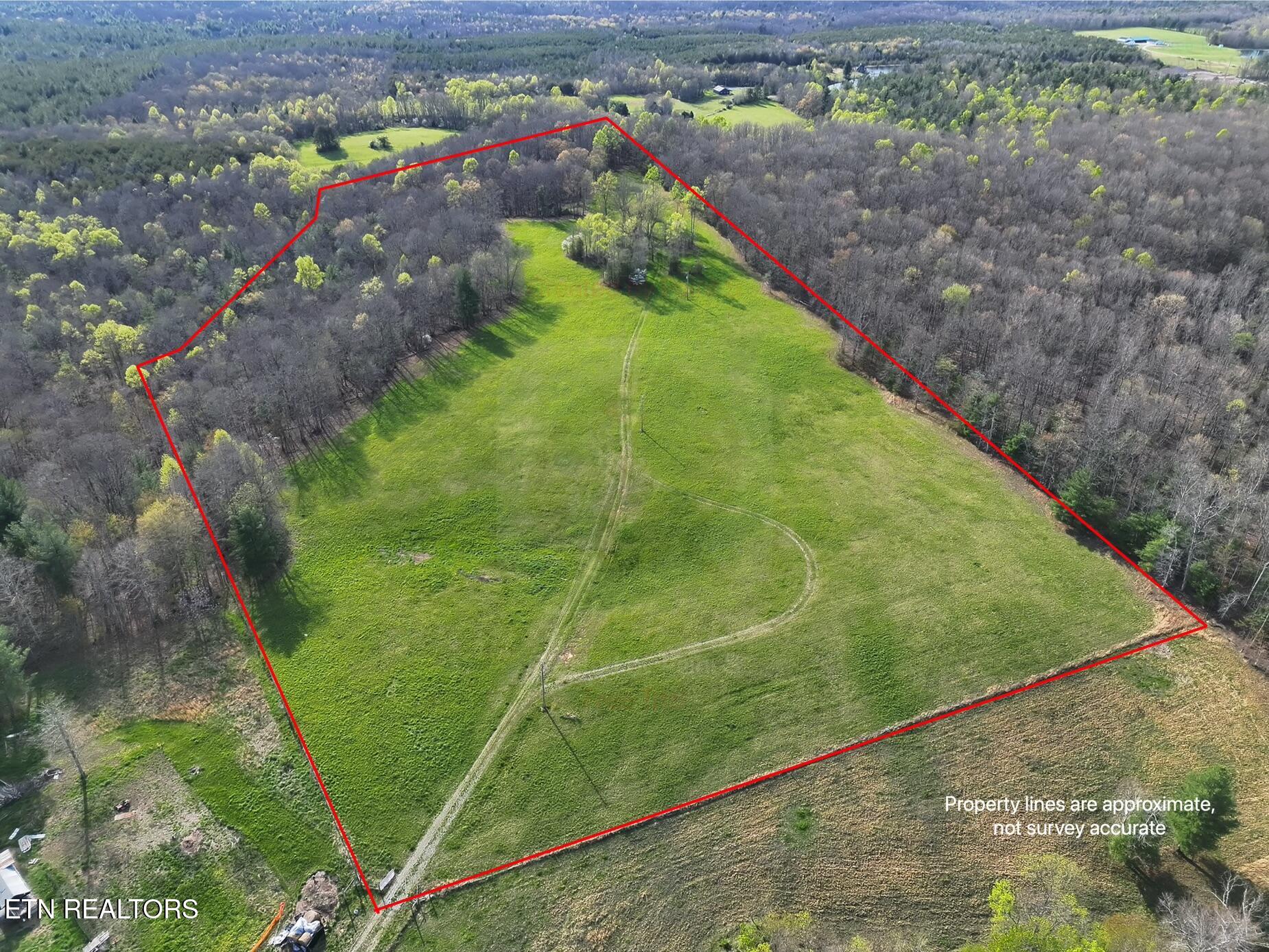 999 Meister Hills Road Deer Lodge, TN 37726 - Photo 2 of 22 morgan 1