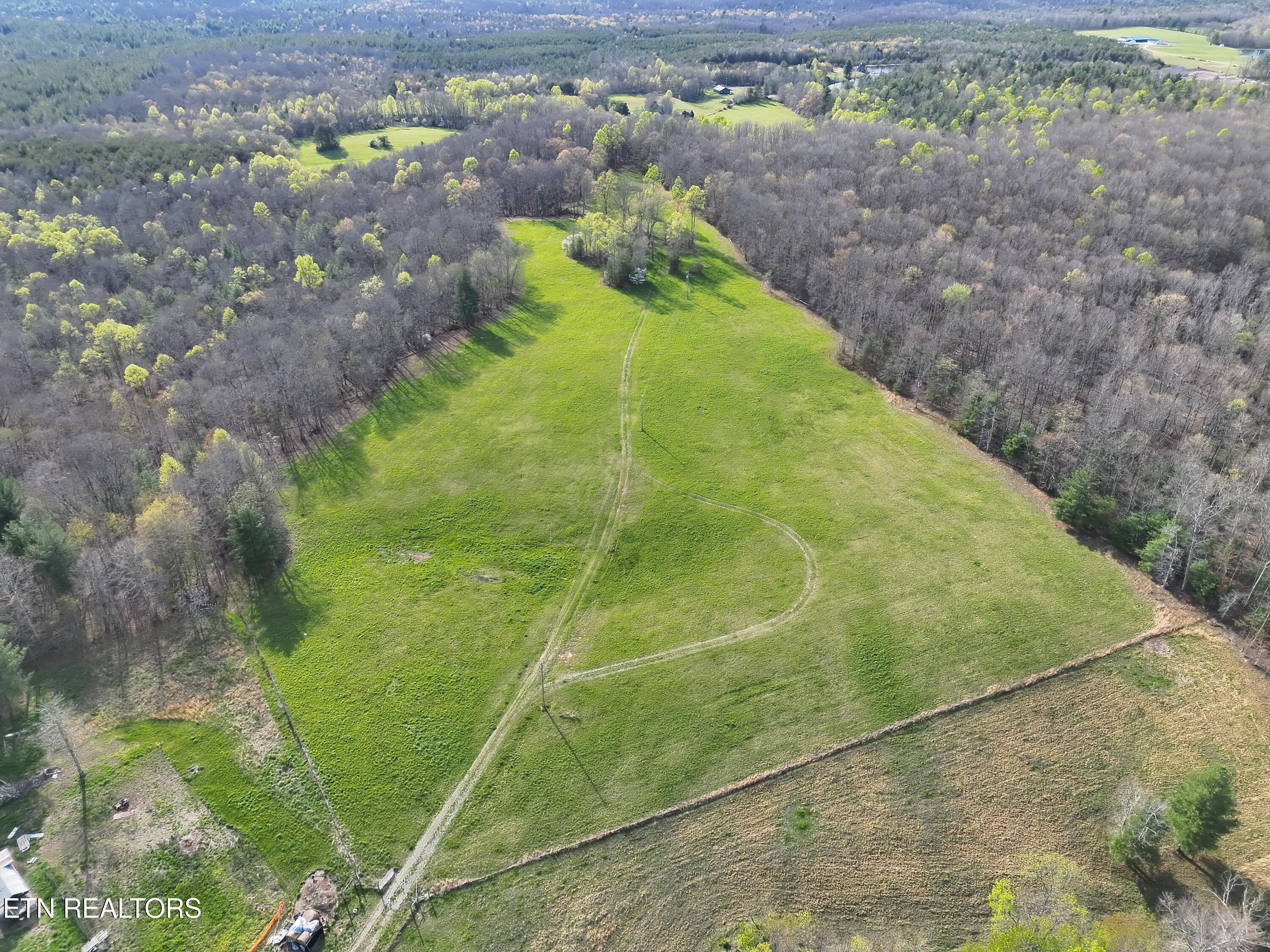 999 Meister Hills Road Deer Lodge, TN 37726 - Photo 3 of 22 morgan 2