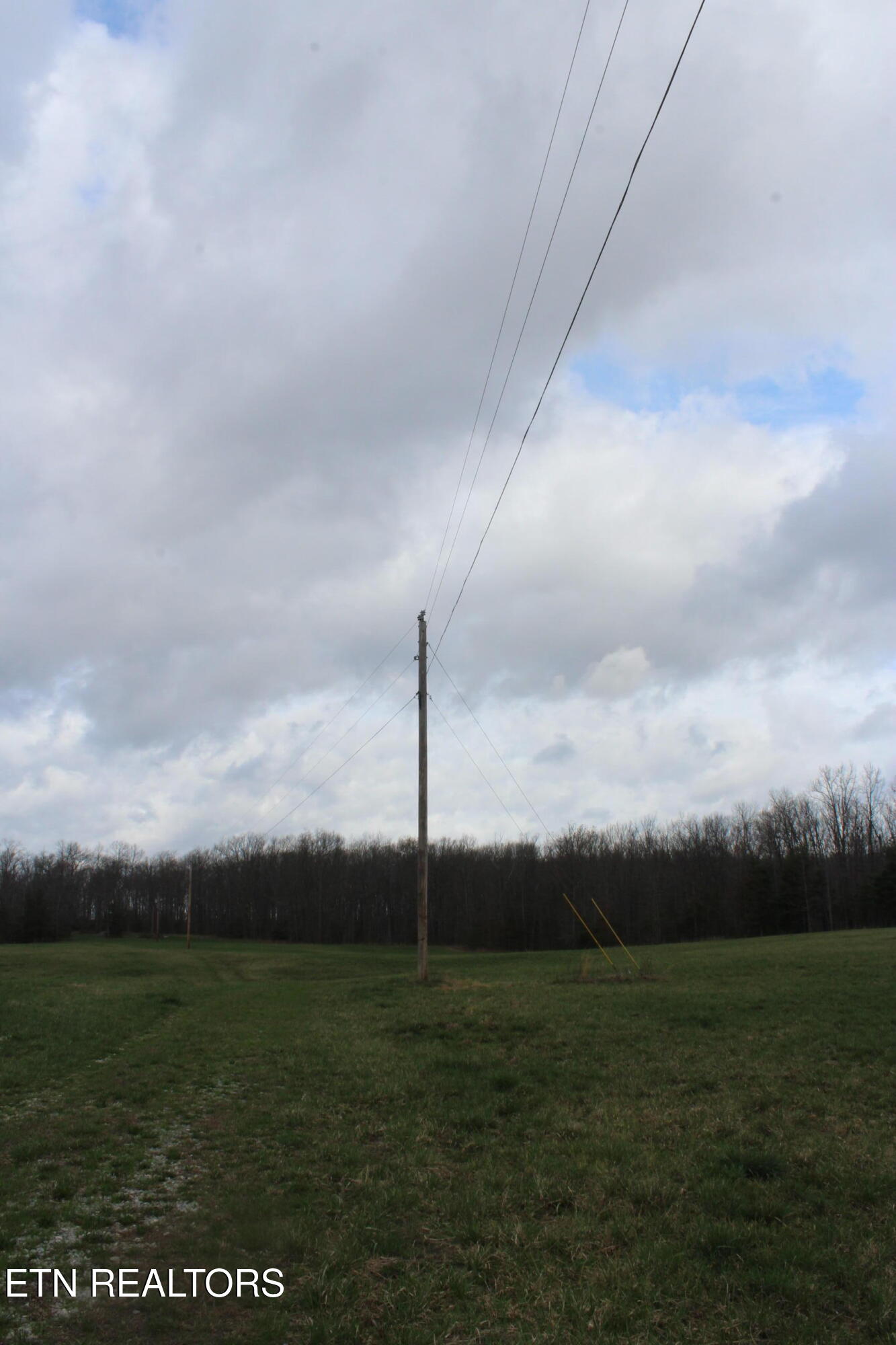 999 Meister Hills Road Deer Lodge, TN 37726 - Photo 4 of 20 IMG_8813