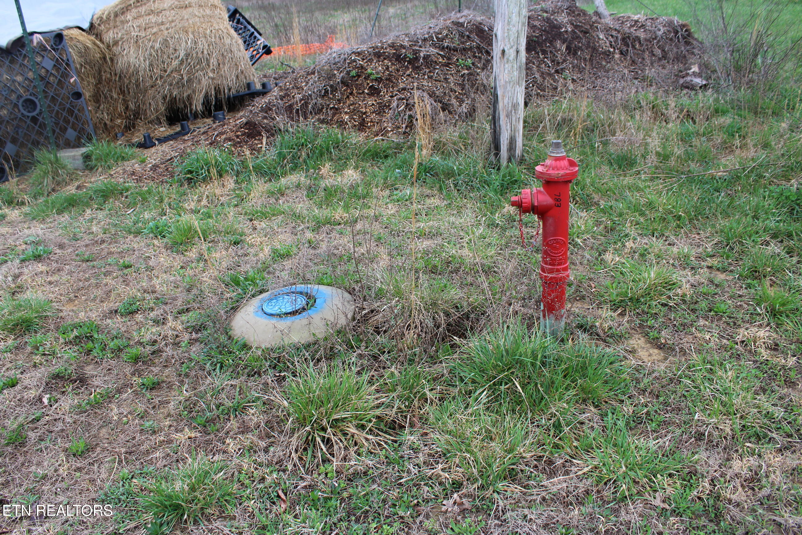 999 Meister Hills Road Deer Lodge, TN 37726 - Photo 5 of 20 IMG_8814