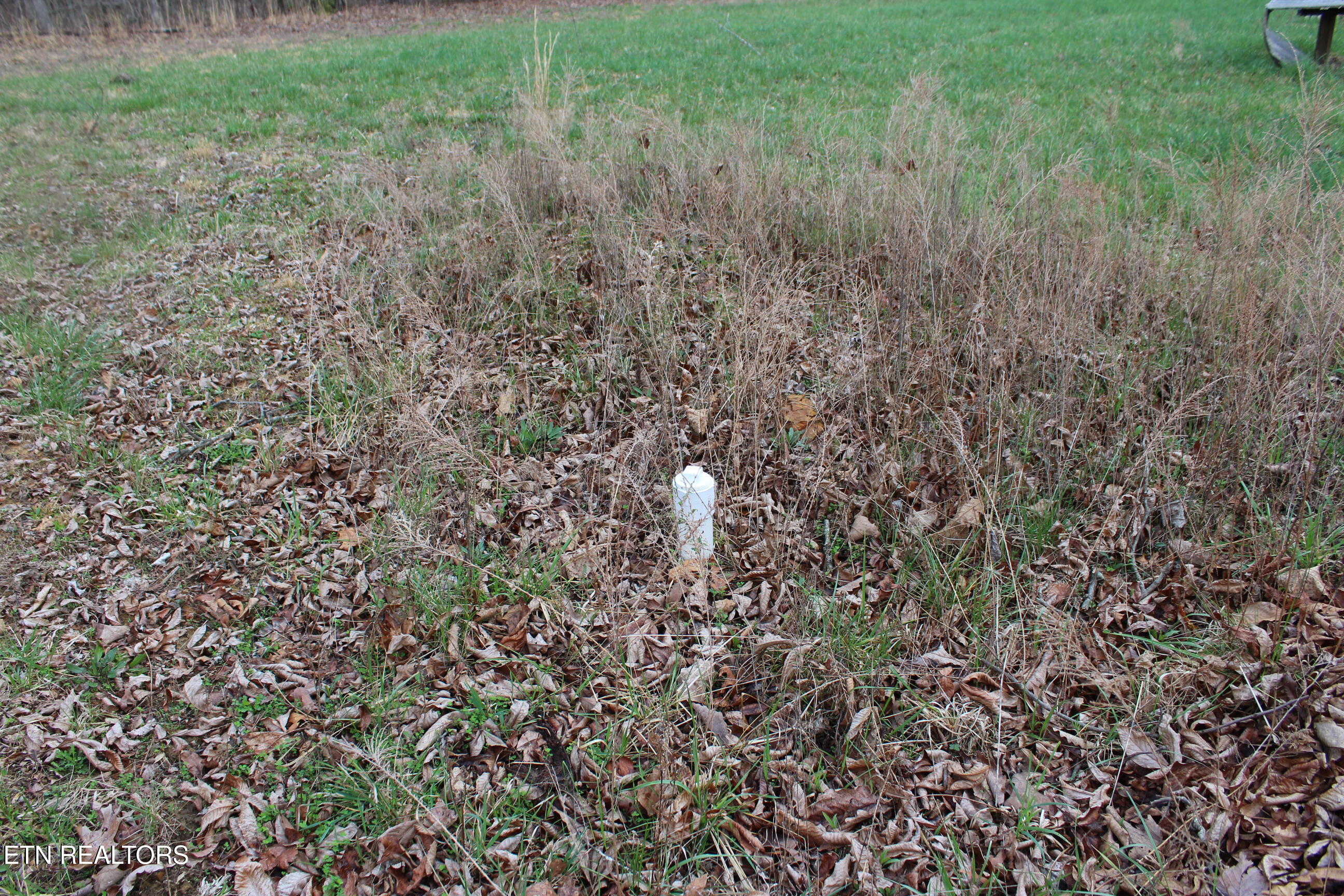 999 Meister Hills Road Deer Lodge, TN 37726 - Photo 10 of 20 IMG_8819