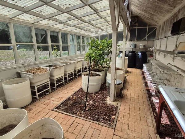 a view of a backyard