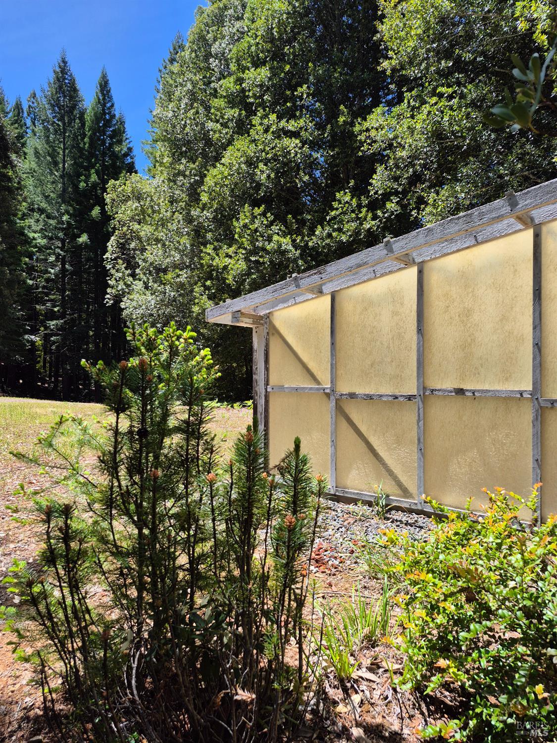 11903 Branscomb Road Laytonville, CA 95454 - Photo 12 of 72 a view of a backyard