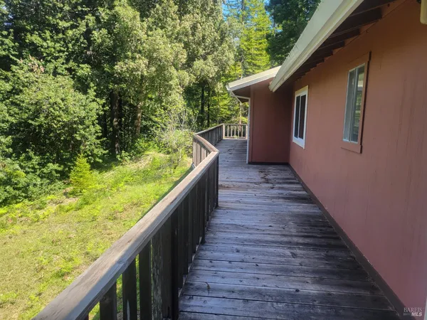 a view of a backyard with large trees