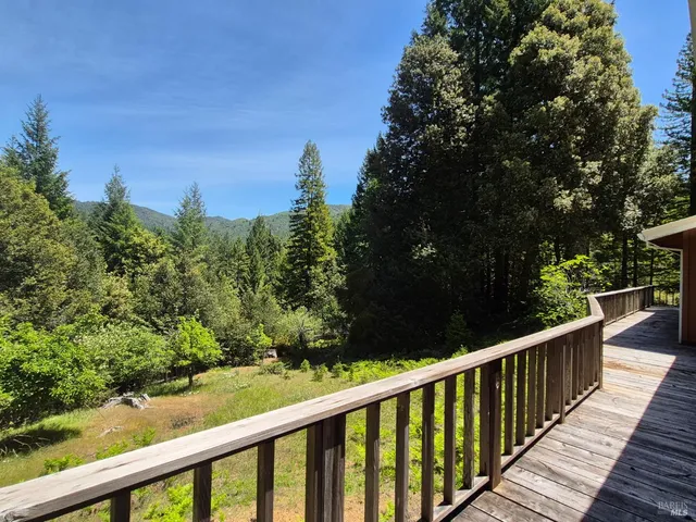 a view of a tree with a yard