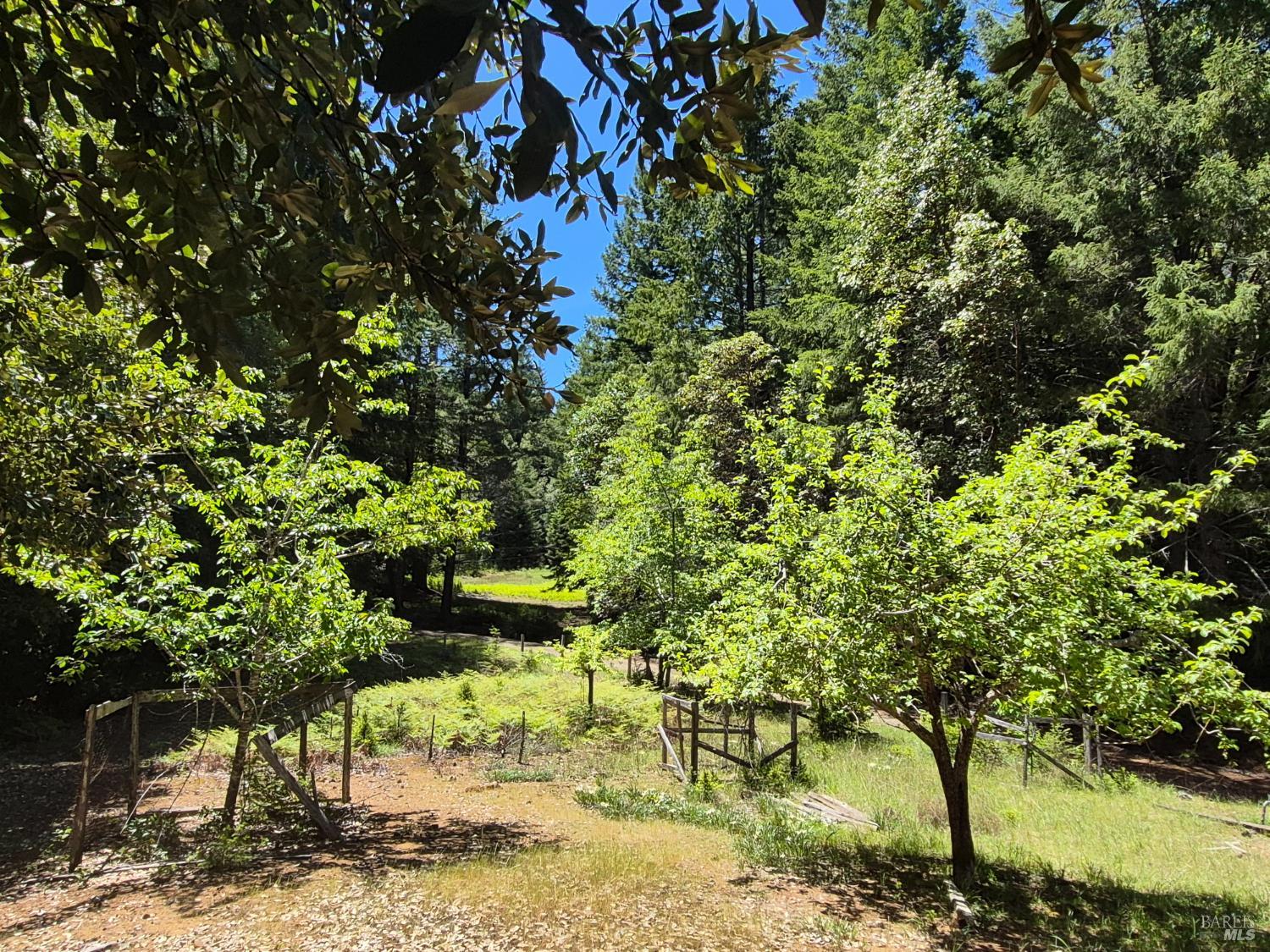 11903 Branscomb Road Laytonville, CA 95454 - Photo 25 of 72 a backyard of a house with lots of green space