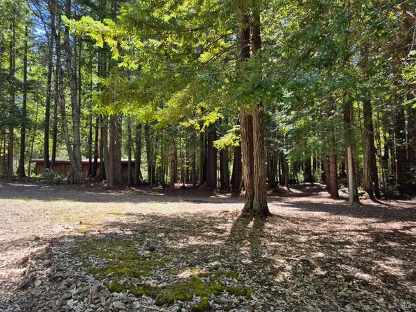 a view of yard with green space