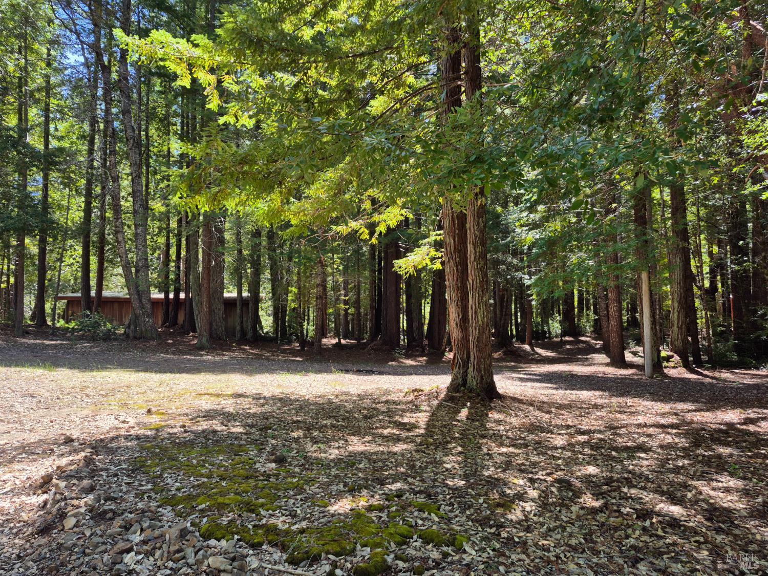 11903 Branscomb Road Laytonville, CA 95454 - Photo 26 of 72 a view of road with trees