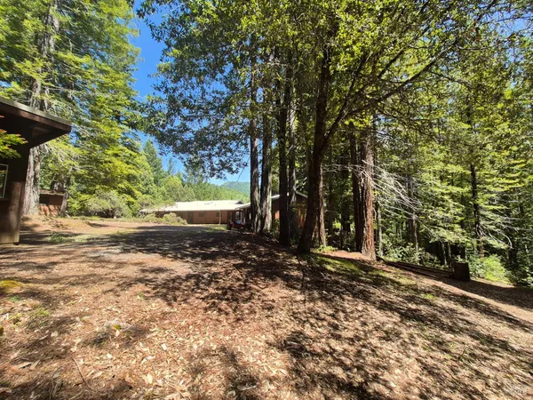 a view of a field with a tree
