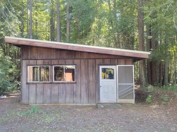 a view of a yard with plants and trees