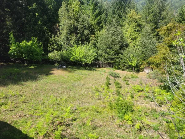 a view of a outdoor space with large trees