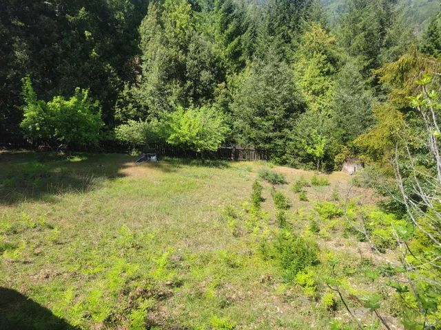 a view of a outdoor space with large trees
