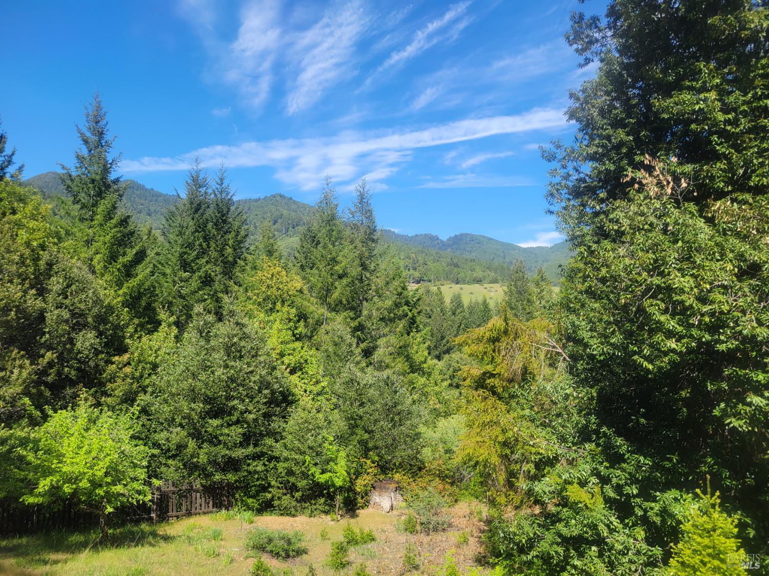 11903 Branscomb Road Laytonville, CA 95454 - Photo 34 of 72 a view of a field with a tree
