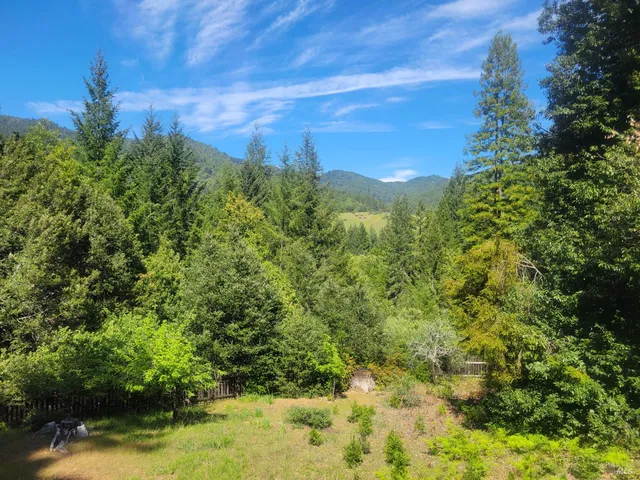 a backyard of a house with lots of green space