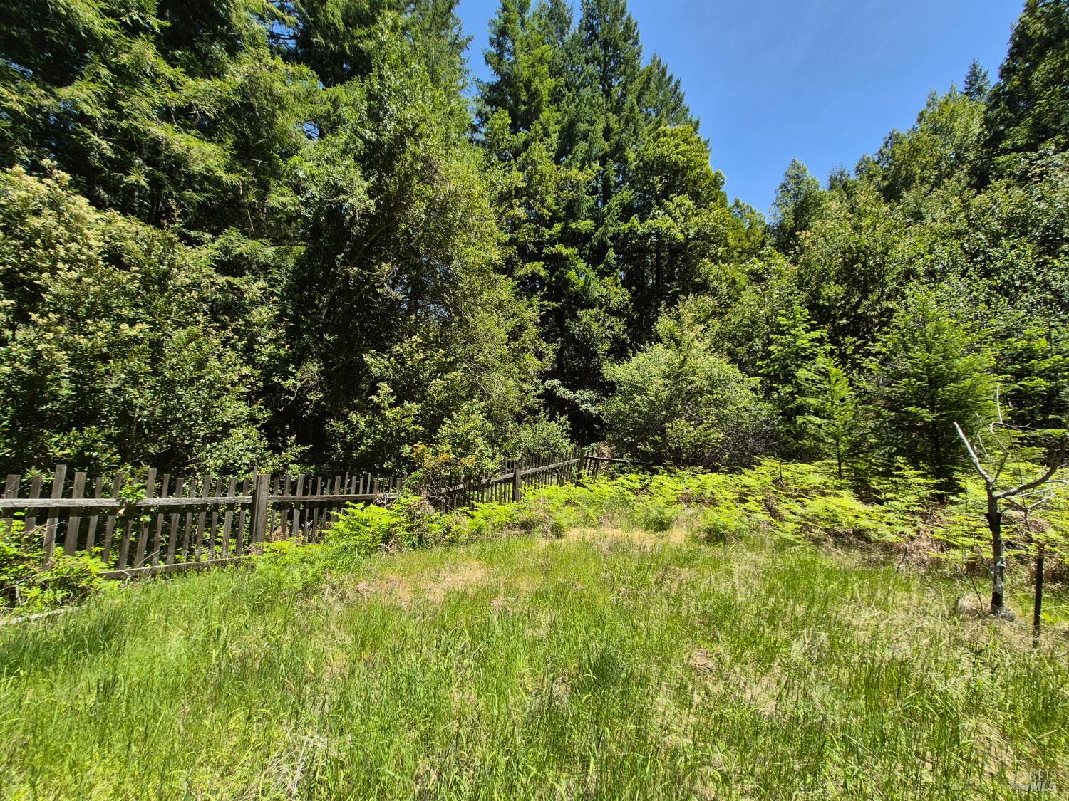 11903 Branscomb Road Laytonville, CA 95454 - Photo 36 of 72