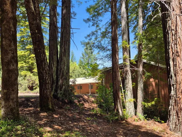 a bathroom with a shower and a sink