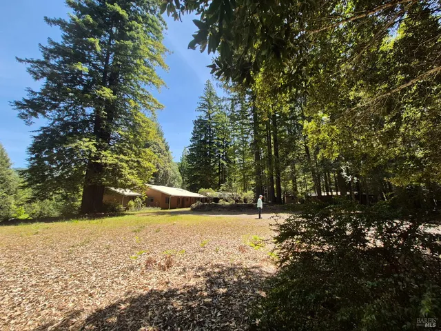 a view of a yard with a tree