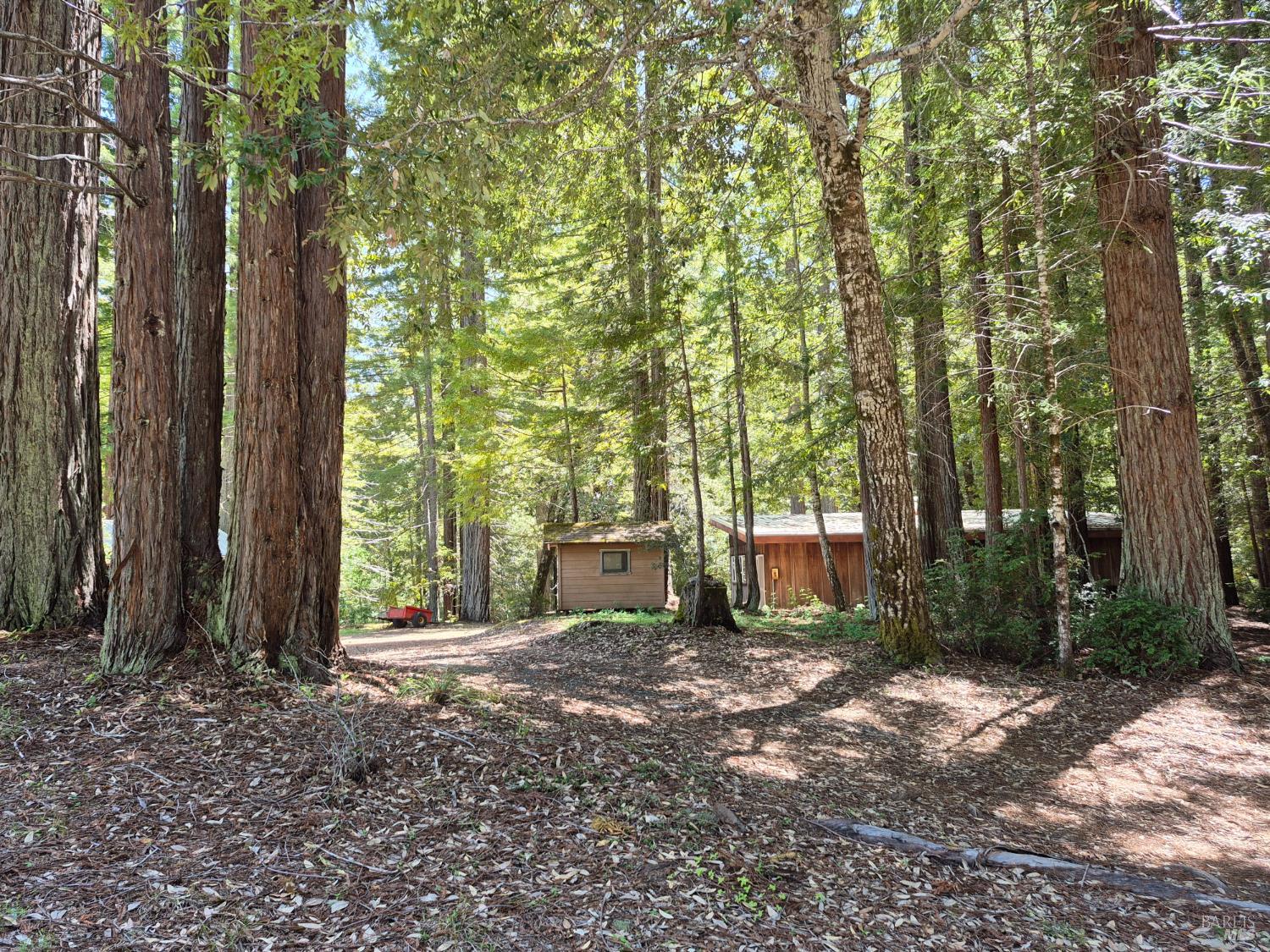 11903 Branscomb Road Laytonville, CA 95454 - Photo 42 of 72 a view of a outdoor space with large trees