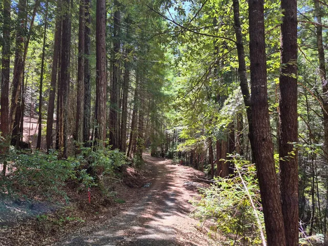 $1,950,000 | 11903 Branscomb Road, Laytonville, CA 95454