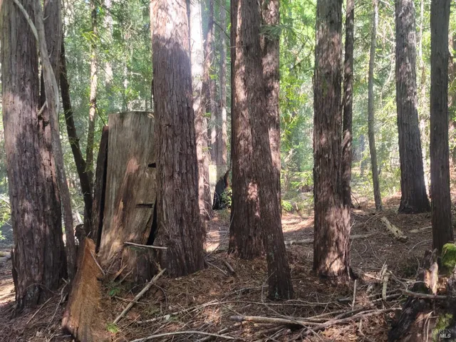 $1,950,000 | 11903 Branscomb Road, Laytonville, CA 95454