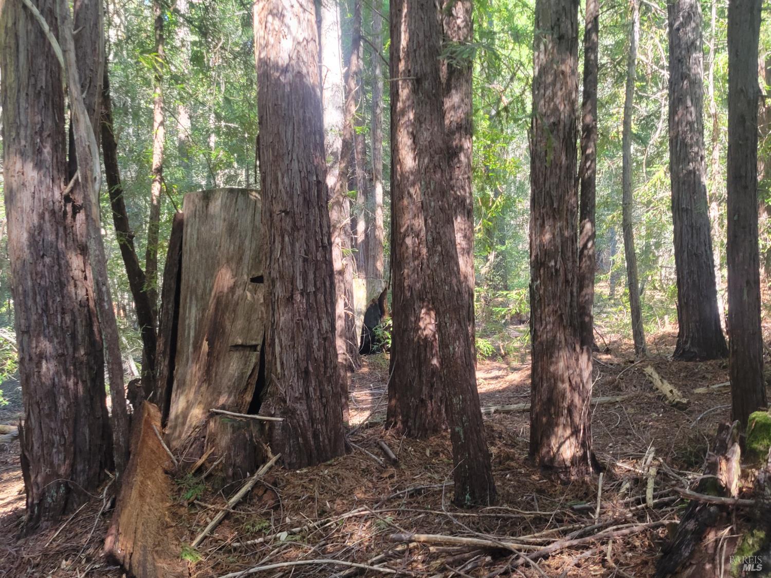 11903 Branscomb Road Laytonville, CA 95454 - Photo 65 of 72