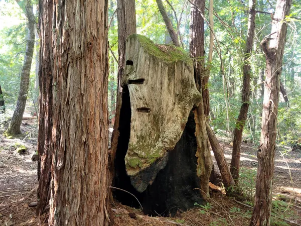 $1,950,000 | 11903 Branscomb Road, Laytonville, CA 95454