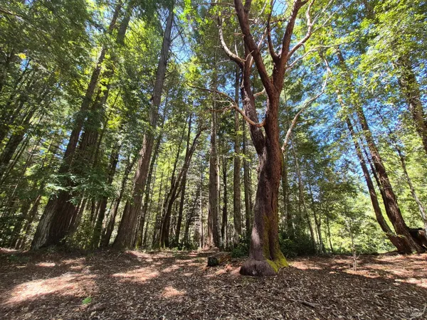 $1,950,000 | 11903 Branscomb Road, Laytonville, CA 95454