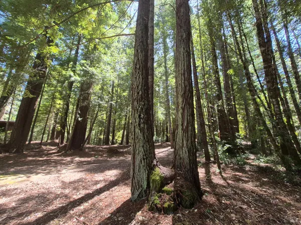 $1,950,000 | 11903 Branscomb Road, Laytonville, CA 95454