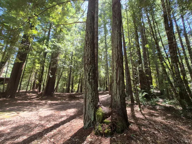 $1,950,000 | 11903 Branscomb Road, Laytonville, CA 95454