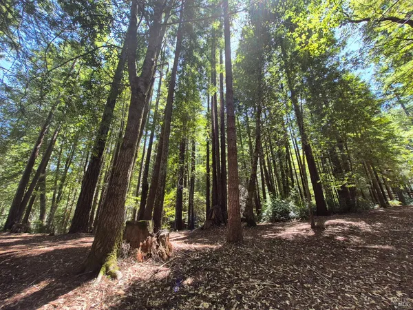 $1,950,000 | 11903 Branscomb Road, Laytonville, CA 95454