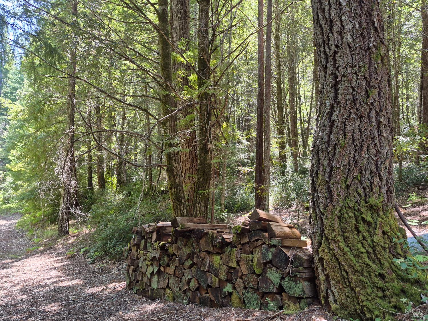 11903 Branscomb Road Laytonville, CA 95454 - Photo 70 of 72